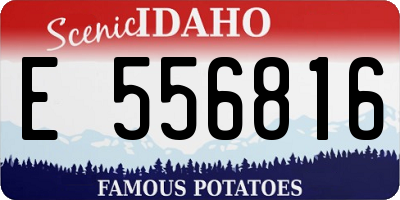 ID license plate E556816