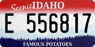 ID license plate E556817
