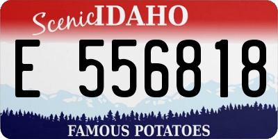 ID license plate E556818