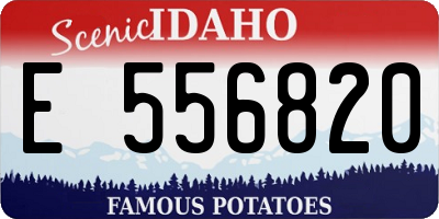 ID license plate E556820