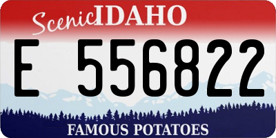 ID license plate E556822