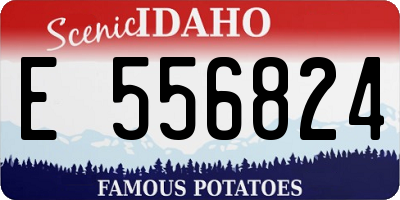 ID license plate E556824