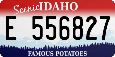 ID license plate E556827