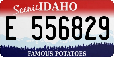 ID license plate E556829