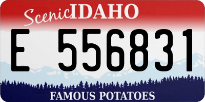 ID license plate E556831