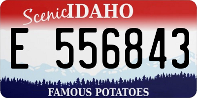 ID license plate E556843