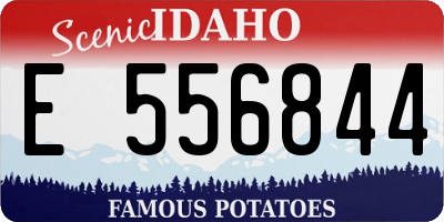 ID license plate E556844