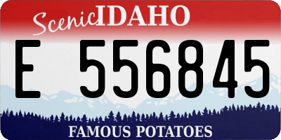 ID license plate E556845