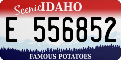 ID license plate E556852