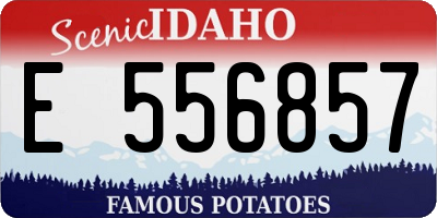 ID license plate E556857