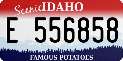 ID license plate E556858
