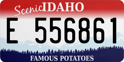 ID license plate E556861