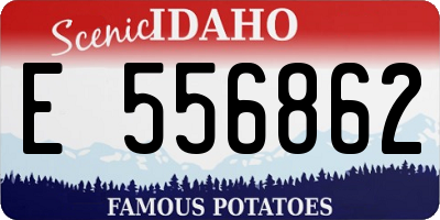 ID license plate E556862