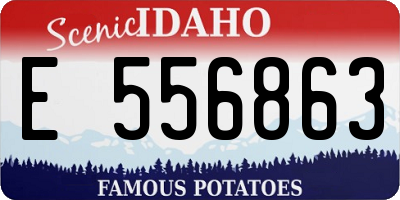 ID license plate E556863