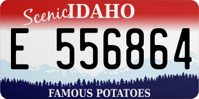 ID license plate E556864