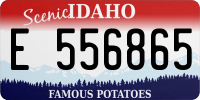 ID license plate E556865