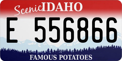 ID license plate E556866