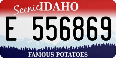 ID license plate E556869
