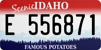 ID license plate E556871