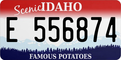 ID license plate E556874