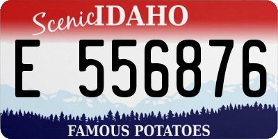 ID license plate E556876