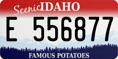 ID license plate E556877