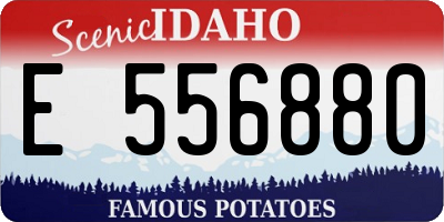 ID license plate E556880