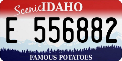 ID license plate E556882