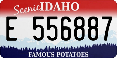ID license plate E556887