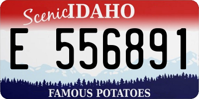 ID license plate E556891