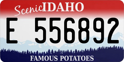 ID license plate E556892