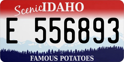 ID license plate E556893