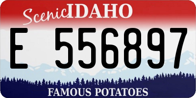 ID license plate E556897