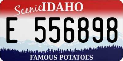 ID license plate E556898