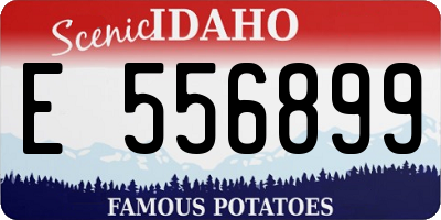 ID license plate E556899