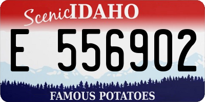 ID license plate E556902