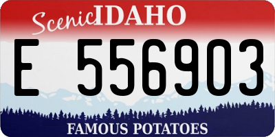 ID license plate E556903