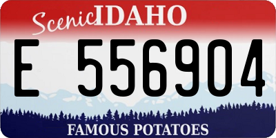 ID license plate E556904