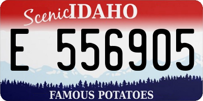 ID license plate E556905