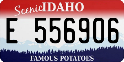 ID license plate E556906