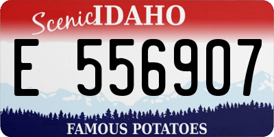 ID license plate E556907