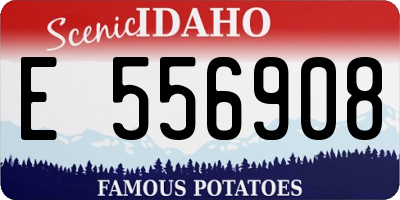 ID license plate E556908