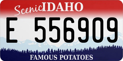 ID license plate E556909