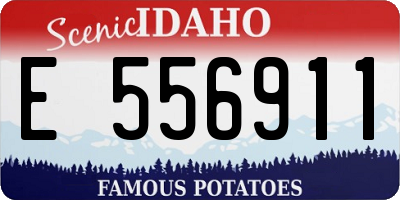 ID license plate E556911