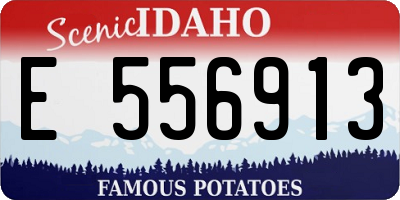ID license plate E556913