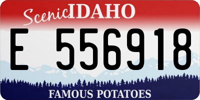 ID license plate E556918