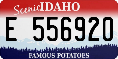 ID license plate E556920