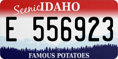 ID license plate E556923