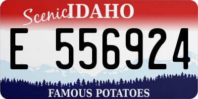 ID license plate E556924