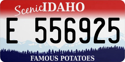 ID license plate E556925